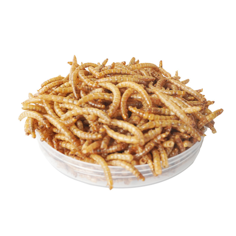 Food Snacks High In Protein - Snacks de Alta Proteína para Hámsteres,